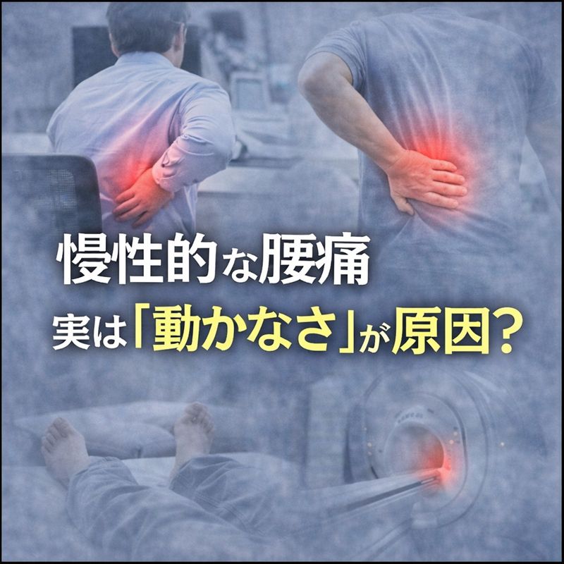 慢性的な腰痛、実は「動かなさ」が原因？｜休んでも治らない腰痛の本当の理由