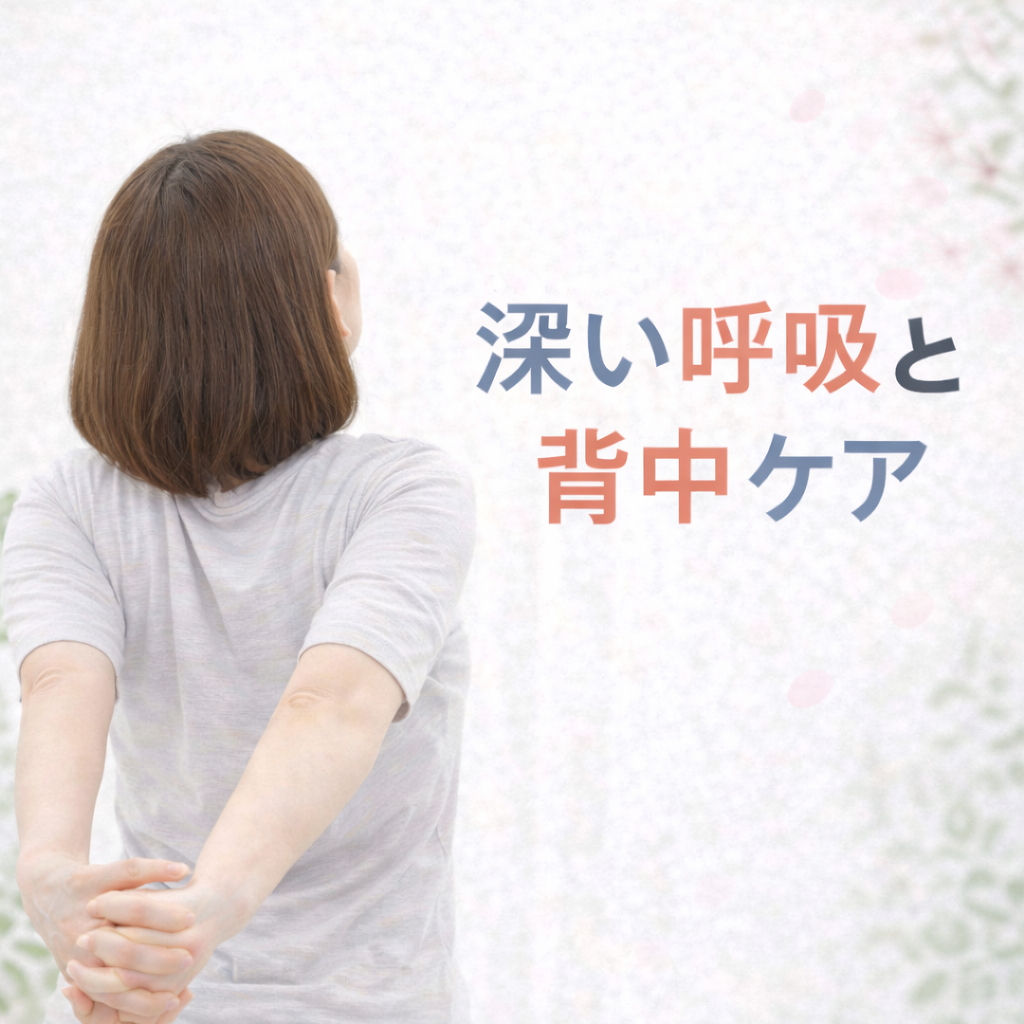 背中の痛みと呼吸の浅さの意外な関係｜整体師が解説する原因とセルフケア